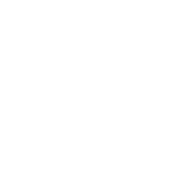 Logo Noia Hair Care