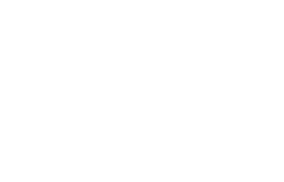 South Management South Management
