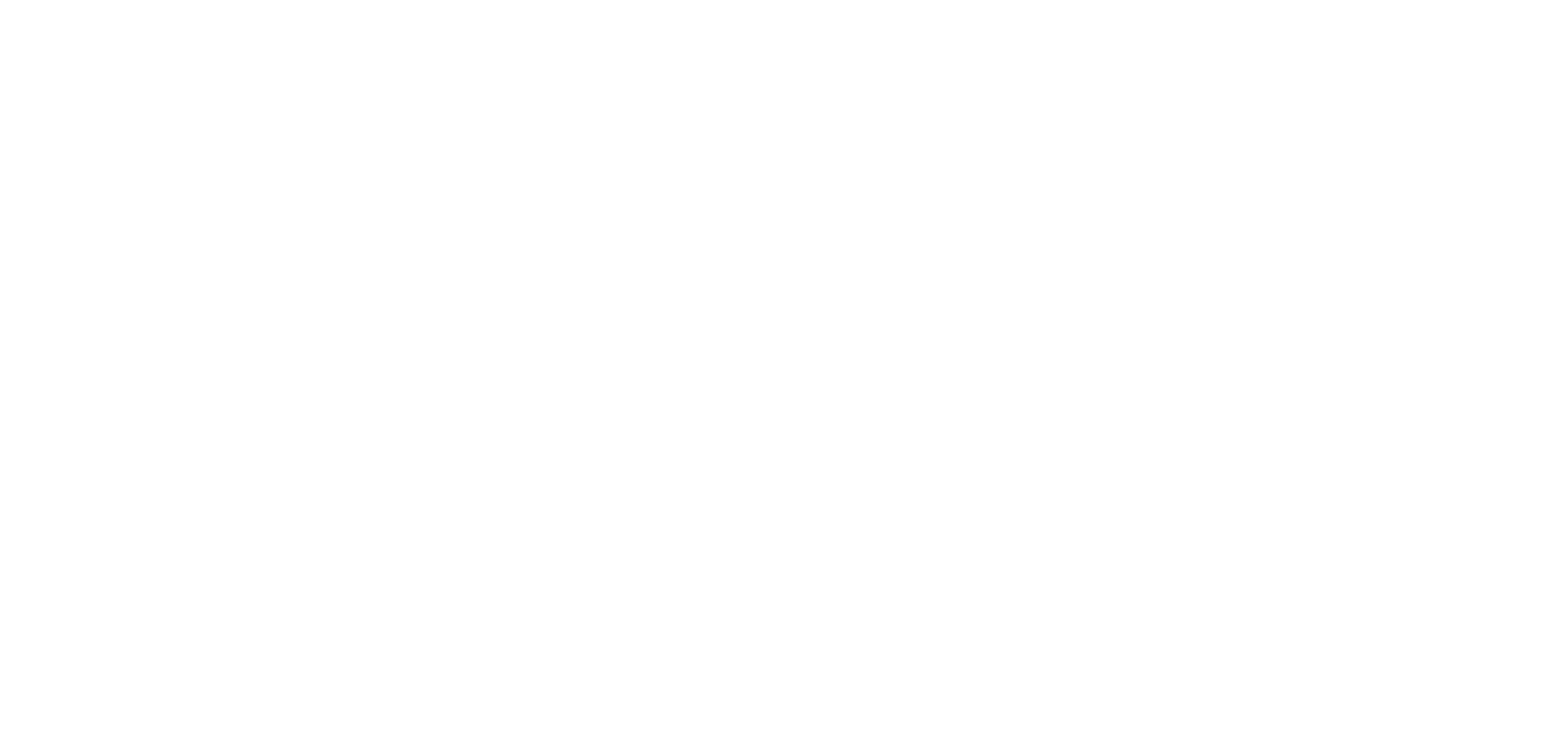 CZ Coach