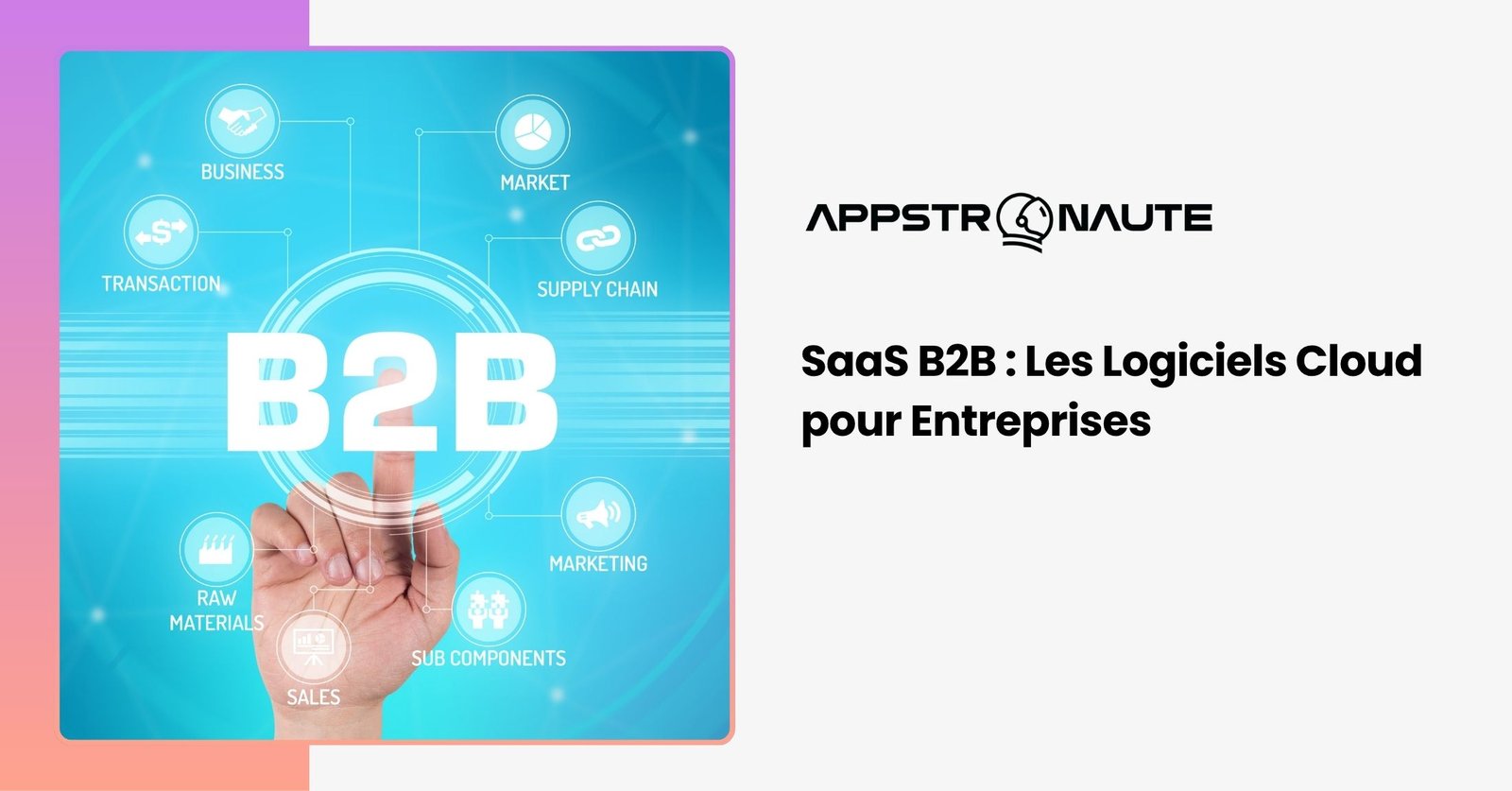 SaaS B2B Software as a Service Business to Business logiciels cloud abonnement entreprises